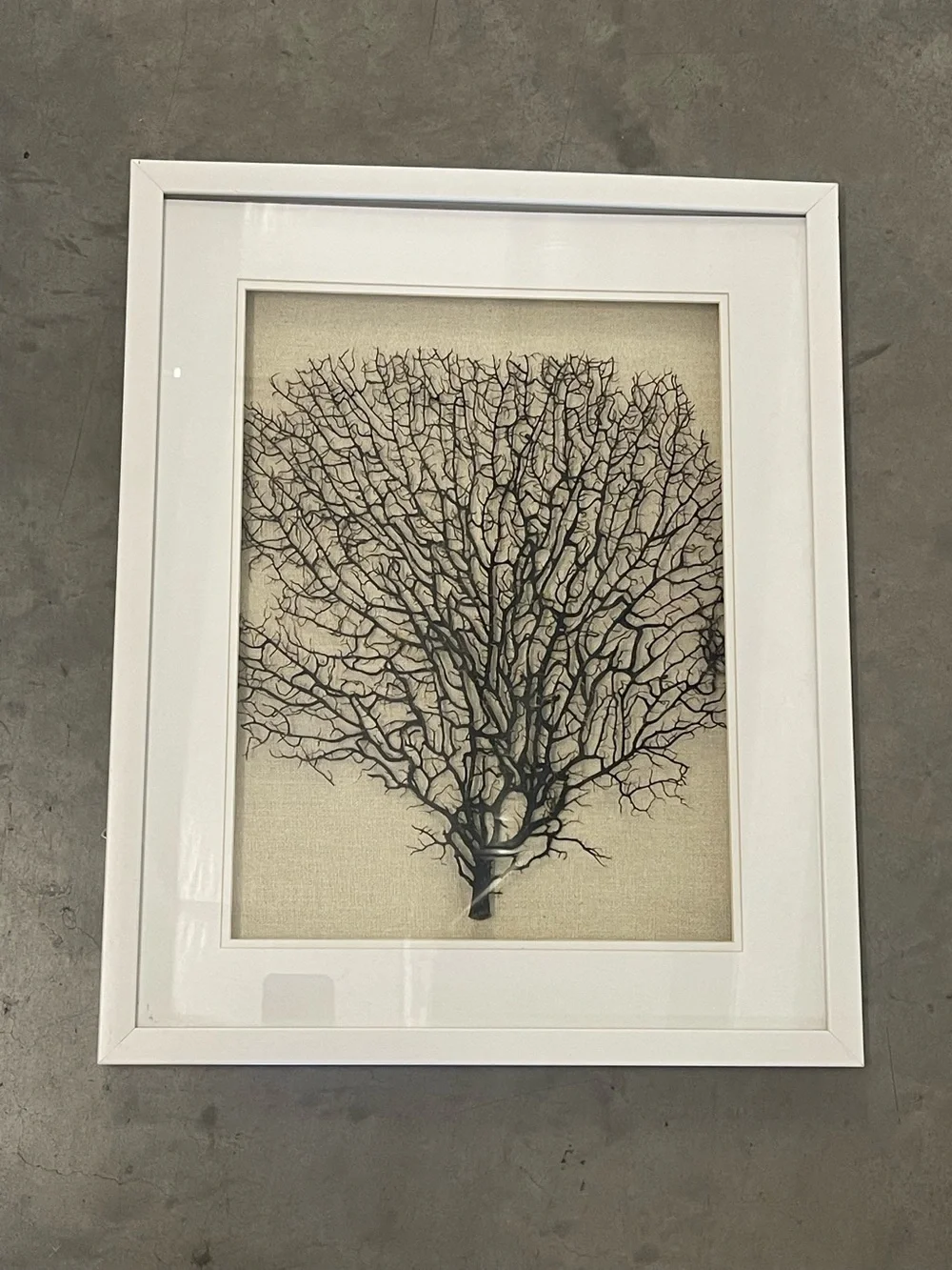 ✨ Faux Black Sea Fan Coral Framed Wall Art Set of 2 Coastal Boho Decor ✨